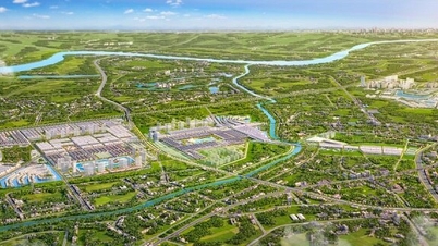 Cú hích thúc đẩy làn sóng người nước ngoài chuyển cư về đô thị ở tốt nhất thế giới Ocean City