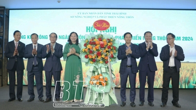 វិស័យកសិកម្មដាក់ពង្រាយភារកិច្ចសម្រាប់ឆ្នាំ២០២៥