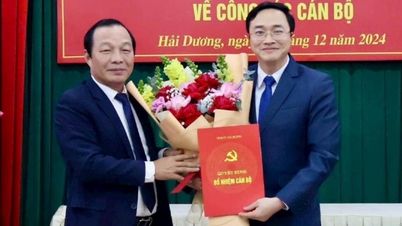 Towarzysz Phan Nhat Thanh zajmuje stanowisko zastępcy szefa wydziału organizacyjnego komitetu partii prowincji Hai Duong.
