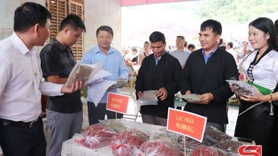 Các sản phẩm đặc trưng ở vùng cao É Tòng