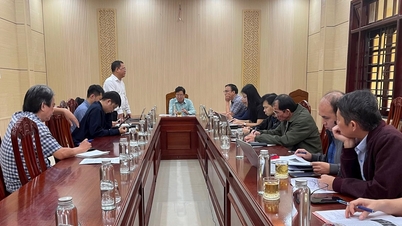 Proposal to build a museum and space to experience Ngoc Linh ginseng culture