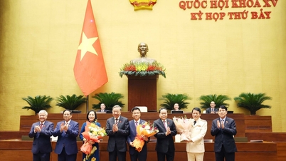Bộ trưởng Tư pháp Lê Thành Long làm Phó Thủ tướng Chính phủ nhiệm kỳ 2021-2026