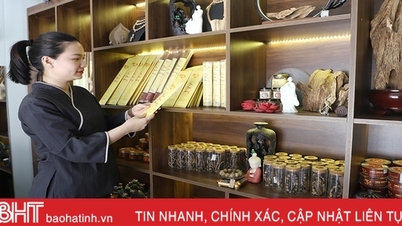 Lực đẩy phát triển công nghiệp nông thôn Hà Tĩnh