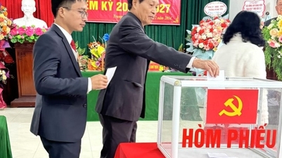 3 đảng bộ cấp huyện đã hoàn thành đại hội chi bộ trực thuộc đảng ủy cơ sở