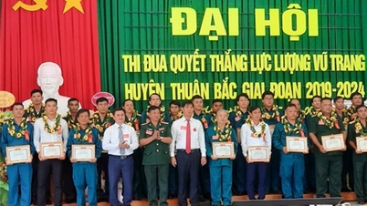 NTO - Đại hội Thi đua Quyết thắng lực lượng vũ trang huyện Thuận Bắc giai đoạn 2019