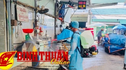 ដំណោះស្រាយជាច្រើនដើម្បីការពារជំងឺនៅក្នុងបសុសត្វ