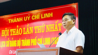 Chi Linh រៀបចំ​បោះពុម្ព​ផ្សាយ​ប្រវត្តិសាស្ត្រ​គណៈកម្មាធិការ​បក្ស​ទីក្រុង​សម័យកាល ១៩៣០-២០២៣