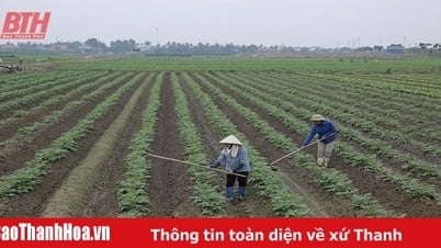 អនុវត្តគោលនយោបាយគាំទ្រដល់ការអភិវឌ្ឍន៍ដំណាំ