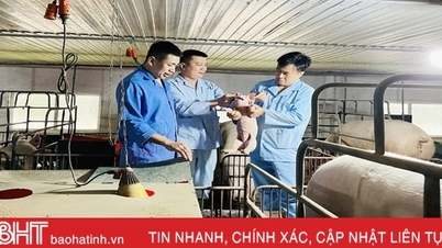 ជំងឺប៉េស្តជ្រូកអាហ្រ្វិកមានភាពស្មុគស្មាញ Ha Tinh ការពារយ៉ាងសកម្ម