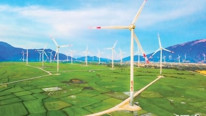 NTO - Ninh Thuan - ទឹកដីនៃតម្លៃខុសគ្នា