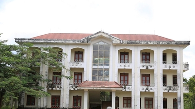 Đắk Nông vào cuộc xử lý lãng phí tài sản công