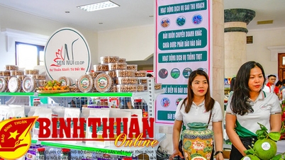 Bảo vệ người tiêu dùng đã được thực hiện bằng luật