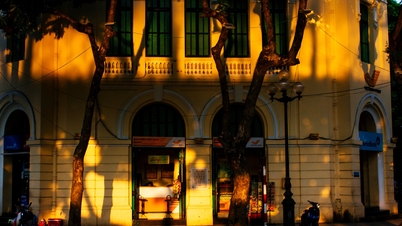 Autumn in Hanoi in the bright yellow sunshine