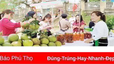 ការអភិវឌ្ឍន៍ផ្លែក្រូចថ្លុងប្រកបដោយនិរន្តរភាព