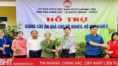 Huong Son supports 2,747 fruit tree varieties for people