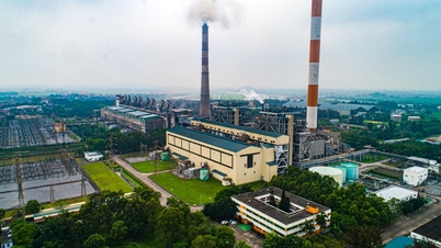 Công ty CP Nhiệt điện Phả Lại phấn đấu doanh thu năm 2024 tăng 39,4%