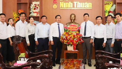 សមមិត្ត Pham Van Hau លេខាអចិន្ត្រៃយ៍នៃគណៈកម្មាធិការបក្សខេត្ត ប្រធានក្រុមប្រឹក្សាប្រជាជនខេត្ត បានអញ្ជើញទៅសួរសុខទុក្ខ និងអបអរសាទរទិវាសារព័ត៌មានបដិវត្តន៍វៀតណាម។