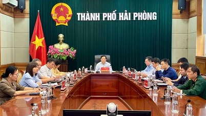 ផ្តោតលើការធ្វើឱ្យល្អឥតខ្ចោះនូវមូលដ្ឋានច្បាប់សម្រាប់ធានាសណ្តាប់ធ្នាប់ និងសុវត្ថិភាពចរាចរណ៍ផ្លូវគោក