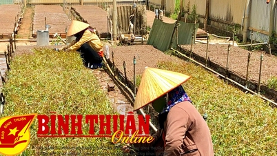 ខេត្តទាំងមូលដាំព្រៃថ្មីបាន ៧៩០ ហិកតា កើនឡើង ១,២៨% ក្នុងរយៈពេលដូចគ្នានេះ។