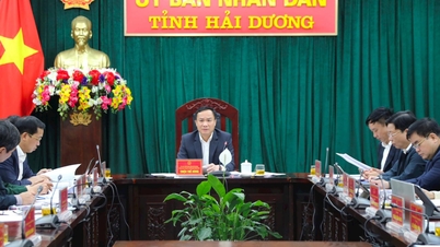 ទីក្រុង Hai Duong អនុវត្តផែនការសម្រាប់តំបន់ទេសចរណ៍ធម្មជាតិ Thanh Long