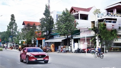 Ninh sơn chuyển mình phát triển
