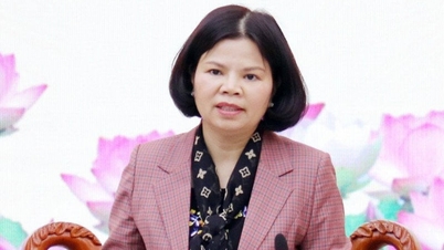 អនុម័ត​លើ​លទ្ធផល​នៃ​ការ​បណ្តេញ​ប្រធាន​គណៈកម្មាធិការ​ប្រជាជន​ខេត្ត Bac Ninh លោក Nguyen Huong Giang