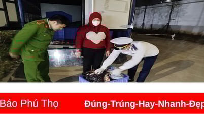 បំផ្លាញ​ផលិតផល​សត្វ​ជាង​៧៥០​គីឡូក្រាម​ដែល​មិន​ស្គាល់​ប្រភព