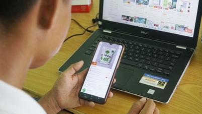 កម្មវិធី E-commerce នៅក្នុងអាជីវកម្ម