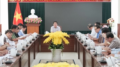 UBND tỉnh họp nghe báo cáo công tác chuẩn bị tổ chức Ngày hội Văn hóa dân tộc Chăm