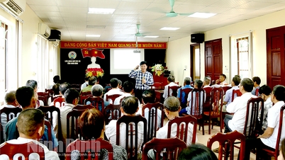 Training on aquaculture techniques