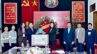 អនុប្រធានអចិន្ត្រៃយ៍នៃក្រុមប្រឹក្សាប្រជាជនខេត្ត Pham Thi Minh Xuan បានទៅសួរសុខទុក្ខ និងជូនពរឆ្នាំថ្មីដល់បណ្តាអង្គភាពក្នុងខេត្ត។