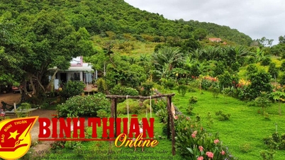 Farm Homestay Ho Nui Dat - Spring tourist "meeting place"