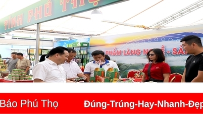 ខេត្តទាំងមូលមានផលិតផល និងក្រុមផលិតផលចំនួន 306 ដែលសម្រេចបាននូវស្ថានភាព OCOP ។