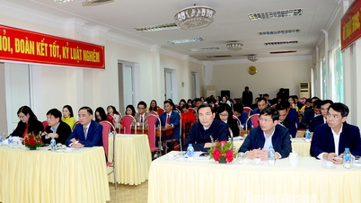 Determined to effectively implement statistical work