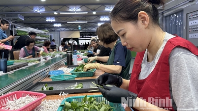 Open door to seasonal work in Korea