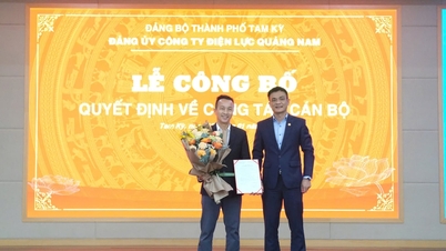 គណៈកម្មាធិការបក្សក្រុមហ៊ុនថាមពល Quang Nam សម្រេចបាននូវចំណងជើង “ការបំពេញភារកិច្ចបានល្អ” ឆ្នាំ 2024