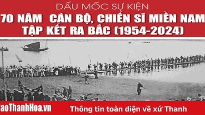 [Infographics] - ព្រឹត្តិការណ៍រំលឹកខួបលើកទី 70 នៃកម្មាភិបាលភាគខាងត្បូង និងទាហានដែលប្រមូលផ្តុំទៅភាគខាងជើង (1954-2024)