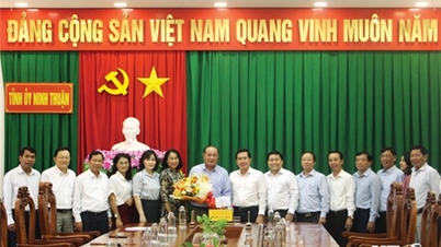 គណៈកម្មាធិការអចិន្ត្រៃយ៍នៃគណៈកម្មាធិការបក្សខេត្តជួបជាមួយគណៈប្រតិភូចូលរួមមហាសន្និបាតជាតិលើកទី៨នៃសហភាពកសិករវៀតណាម