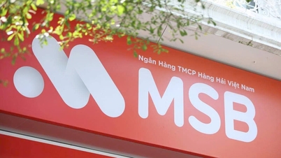 MSB thông báo chấm dứt hoạt động Phòng Giao dịch Tam Điệp