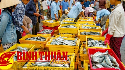 Take strong measures against IUU fishing, to work with the 4th European Commission