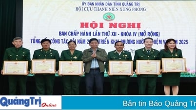 지방 전직 청년 자원봉사자 협회, 2025년 업무 배치