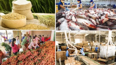 Xuất siêu nông lâm thủy sản đạt kỷ lục gần 18 tỷ USD