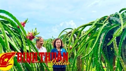 Tạo niềm tin cho nông dân tham gia kinh tế tập thể