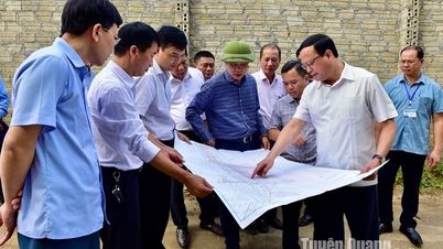 Vice Chairman of the Provincial People's Committee Nguyen Manh Tuan inspected the construction progress of Ho Chi Minh road, Cho Chu - Trung Son intersection section.