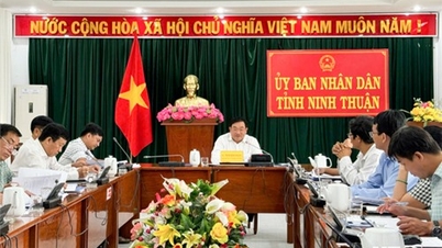 Họp Hội đồng thẩm định Mô hình thí điểm xã thương mại điện tử Phước Thuận
