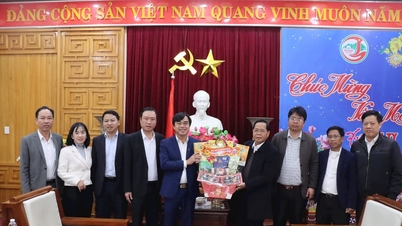 ថ្នាក់ដឹកនាំស្រុក Hoa Vang (Da Nang) បានទៅសួរសុខទុក្ខ និងជូនពរឆ្នាំថ្មីដល់ស្រុក Tay Giang