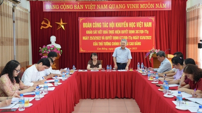 Vietnam Öğrenimi Geliştirme Derneği heyeti, Başbakanın 387 ve 677 sayılı kararlarının uygulanmasının sonuçlarını inceledi.