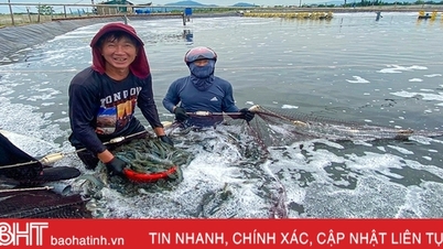 គំរូចិញ្ចឹមបង្គាដោយប្រើបច្ចេកវិជ្ជាចរាចរទឹកត្រូវបានអនុវត្តដោយជោគជ័យជាលើកដំបូងនៅគីអាញ់។