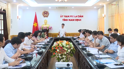 Conference of the Provincial People's Committee to consider and recognize Giao Thuy district as meeting advanced NTM standards