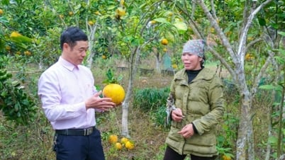 生産開発への意欲を高める